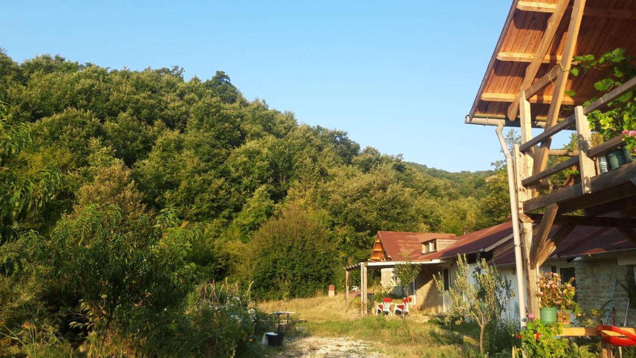 Hotel Ferma Albanik Kelcyre Exteriér fotografie