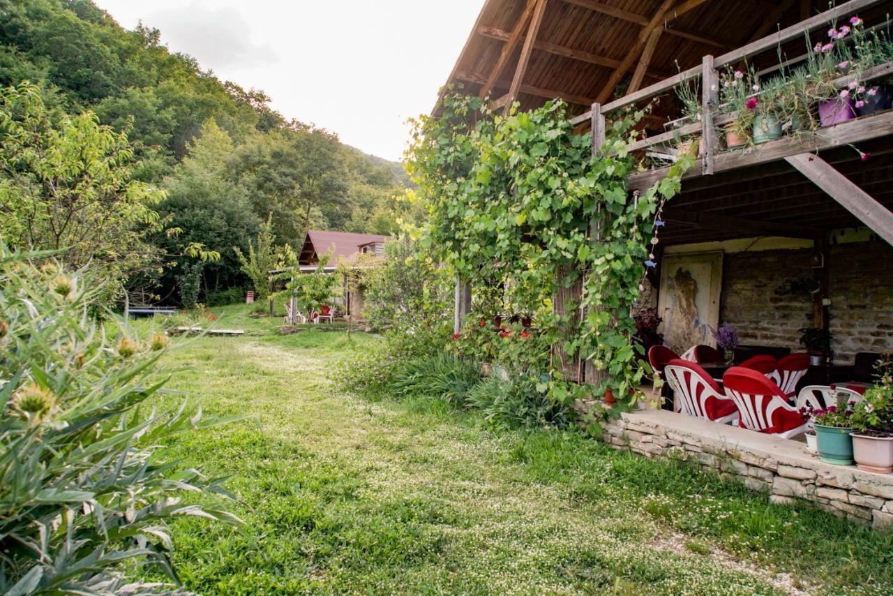 Hotel Ferma Albanik Kelcyre Exteriér fotografie